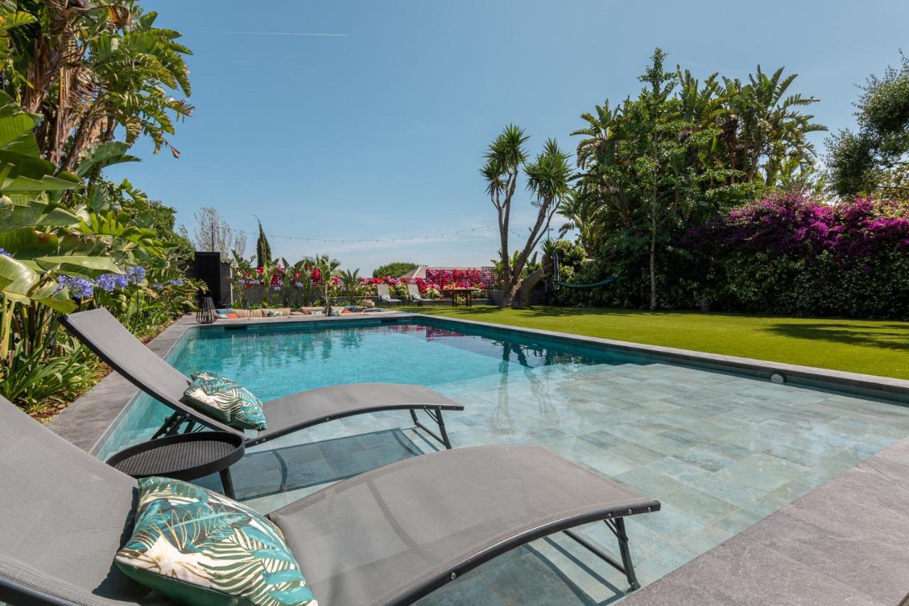 Barcelona'S Tropical Oasis Villa Sant Just Desvern Buitenkant foto